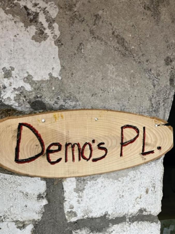 Demo'S Place Gusinje エクステリア 写真
